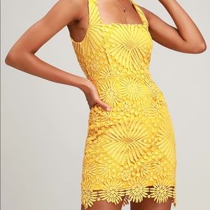 LuL’s yellow dress